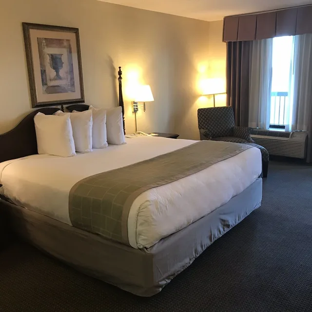 Room, King Bed, Smoking, Days Inn by Wyndham Metter 3/4