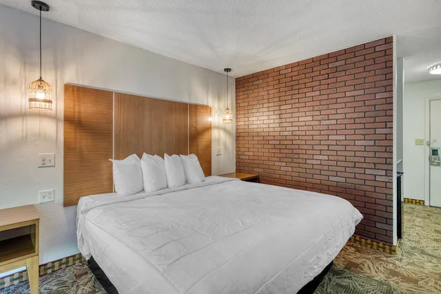 Standard, King Bed, Accessible, SureStay Hotel by Best Western Tuscaloosa Southeast 4/8