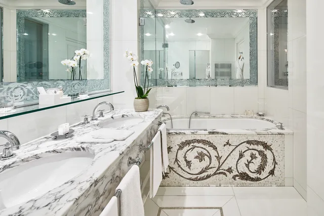 جناح ديلوكس بإطلالة، Hotel Plaza Athenee 1/1