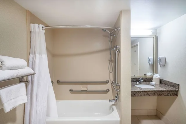 Evolution, King Bed, Accessible، Hilton Garden Inn Richmond Airport 4/4
