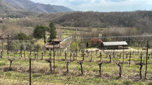Tenuta Valdomini، Udine 47/50