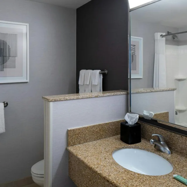 غرفة بسرير كينج مع أريكة بحوض استحمام لذوي الإعاقة، Courtyard By Marriott Mobile Daphne Eastern Shore 2/3