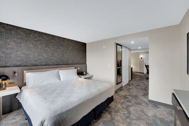 Evolution, Suite, King Bed، Hilton Garden Inn Brampton 1/3