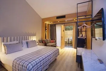 Deluxe, Queen Bed, Private Garden, Sofa، Dosso Dossi Hotels Laleli 1/1