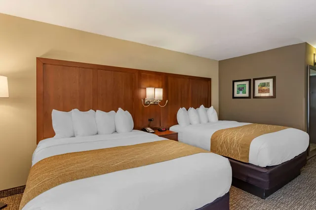 Room, 2 Queen Beds, Pet Friendly, Comfort Inn Petersburg Fort Lee Area 7/10