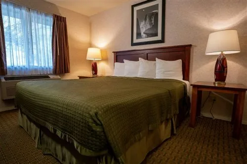 غرفة قياسية، Yosemite Cedar Lodge 1/2