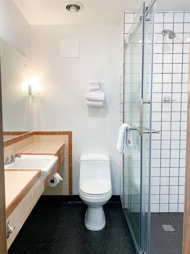 Standard, King Bed, Pet Friendly, University Inn 4/4