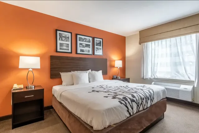 Suite, King Bed, Sleep Inn & Suites Ronks - Lancaster Area 3/5