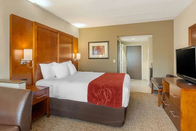 جناح استوديو بسرير كينج مع أريكة لذوي الإعاقة، Comfort Suites South Park 8/10