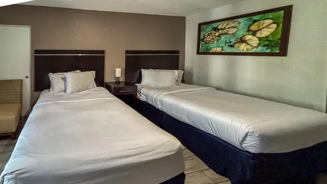 2 Queen Beds - Mobil Access Tub Nsmk Micfridg، Motel6 Altamonte Springs, FL 4/10