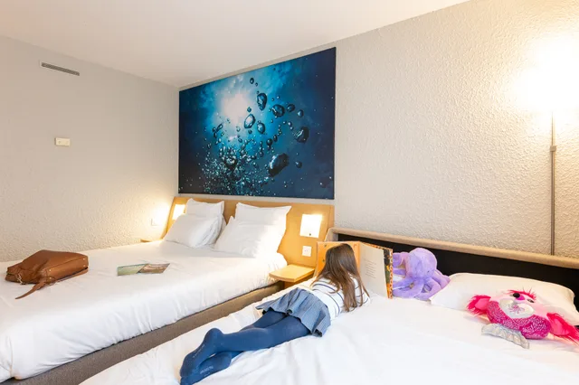 غرفة سوبيريور بسرير كوين، Novotel Grenoble Nord 3/7