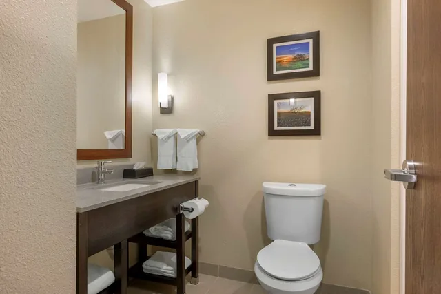 جناح بسرير كينج، Comfort Inn & Suites Euless DFW West 3/3
