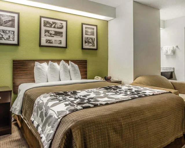 غرفة بسرير كوين مع أريكة، Sleep Inn at Greenville Convention Center 7/10