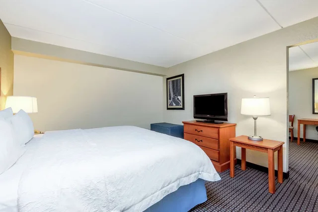 جناح بسرير كينج بغرفة نوم واحدة مع أريكة، Hampton Inn Morehead City 1/1