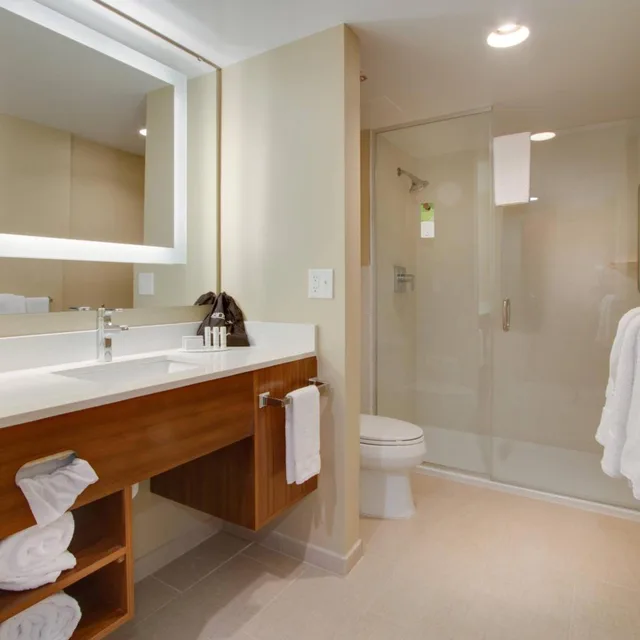 جناح بسريرين مزدوجين مع سرير سحّاب إضافي مع أريكة، SpringHill Suites Orlando Lake Buena Vista South 3/4