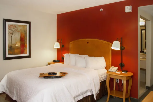 جناح بسرير كينج، Spark by Hilton Cedar City 1/1