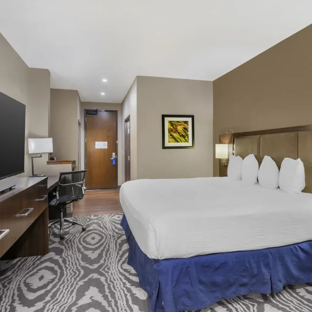 Room, Single, King Bed, Sofa, Best Western Plus Williston Hotel & Suites 1/5
