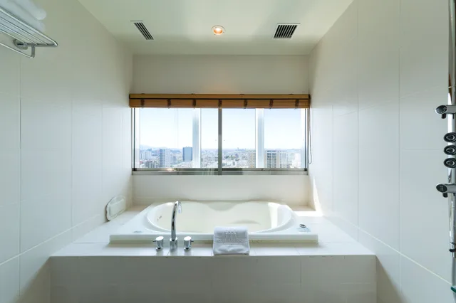 Deluxe, Twin Beds, Executive Level، Hotel Arc Riche Toyohashi 7/7