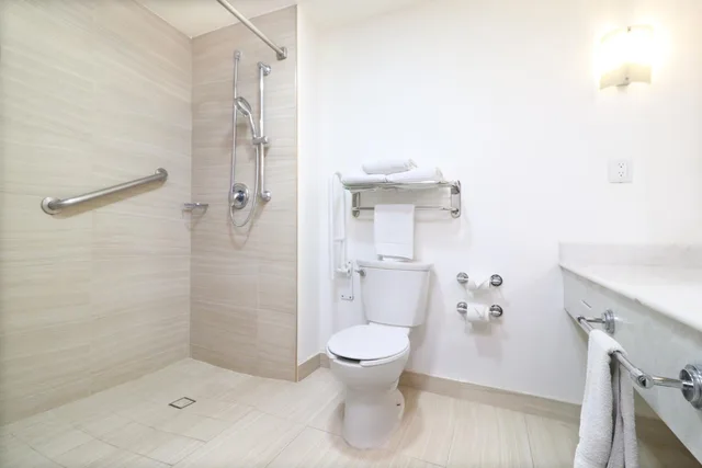 جناح بسرير كوين لذوي الإعاقة، Holiday Inn & Suites Guadalajara Centro Historico 9/9