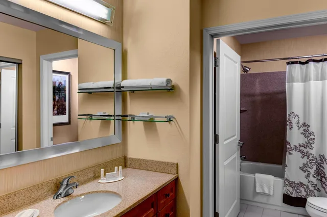 جناح استوديو بسرير كينج مع أريكة، Residence Inn By Marriott Atlanta Midtown 17th Street 8/10