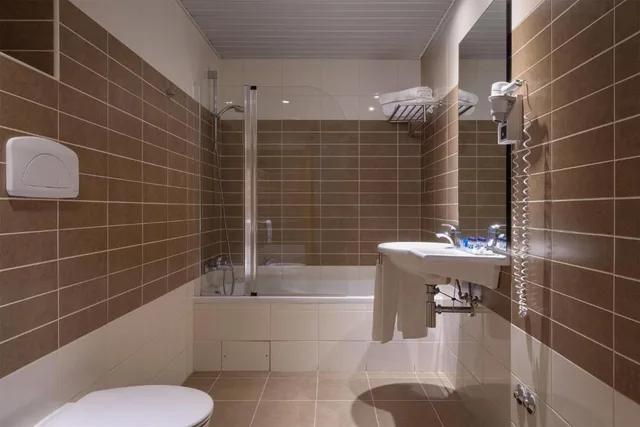 غرفة قياسية مفردة بسرير مزدوج، Tryp By Wyndham Porto Centro Hotel 5/6