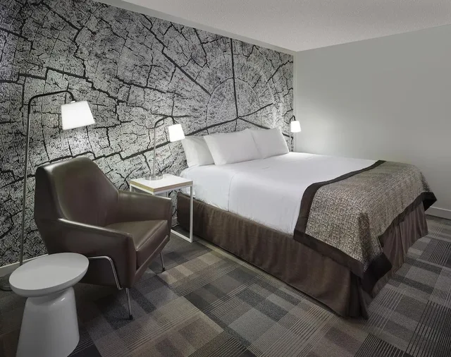 غرفة سوبيريور بسرير كينج، Coast Canmore Hotel Conference Centre 2/2