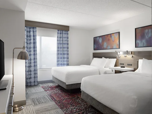 جناح استوديو بسريرين مزدوجين مع أريكة، Hilton Garden Inn Indianapolis Northeast/Fishers, IN 1/3