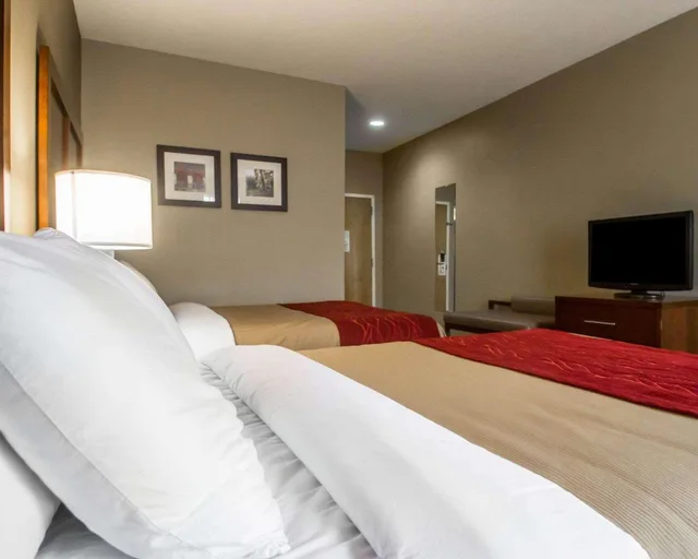 غرفة بسريرين كوين، Comfort Inn Amite City 5/8