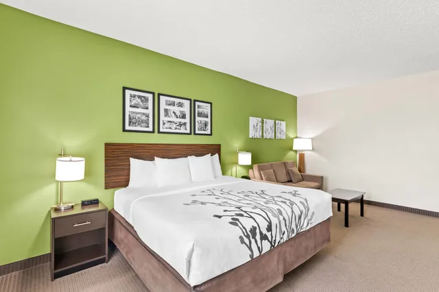 جناح بسرير كينج لذوي الإعاقة، Sleep Inn & Suites Dripping Springs - Austin Area 1/4