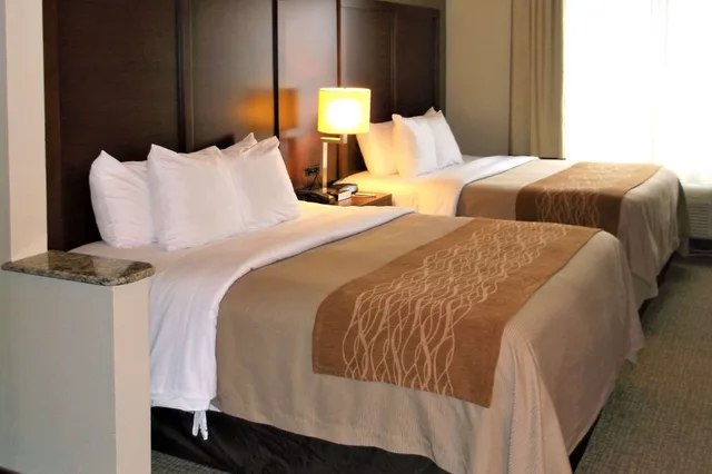 جناح استوديو بسريرين كوين مع أريكة، Comfort Inn and Suites Seguin, TX 2/6