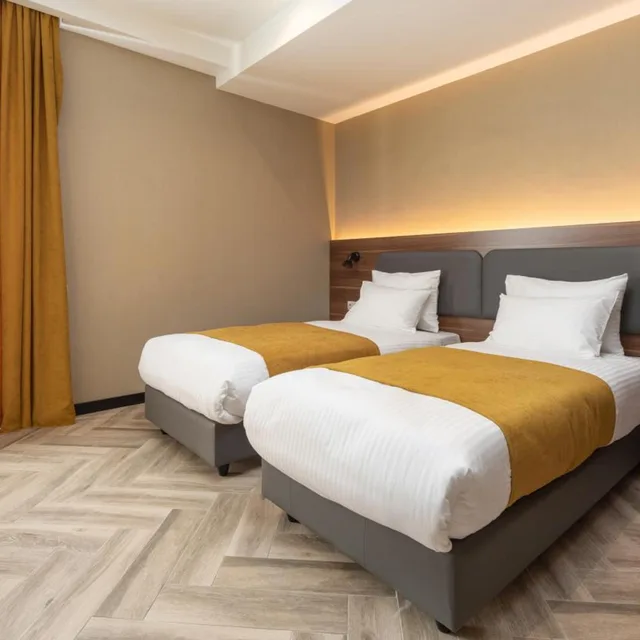 Standard, Twin Beds, Komorebi Bakuriani Resort 4/6