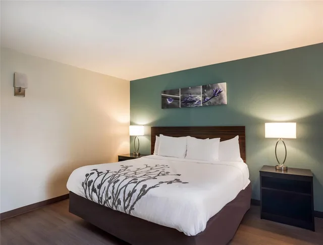 جناح بسرير كينج، Sleep Inn Savannah Midtown 1/4