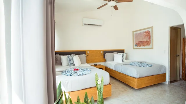 غرفة بريميوم، Buena Vista Oceanfront & Hot Springs Resort 2/10