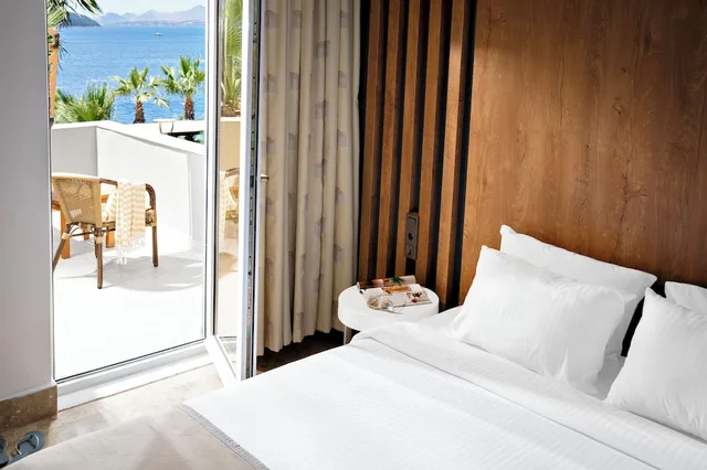 غرفة سوبيريور بسرير مزدوج، TUI MAGIC LIFE Bodrum - Adults Only 4/9