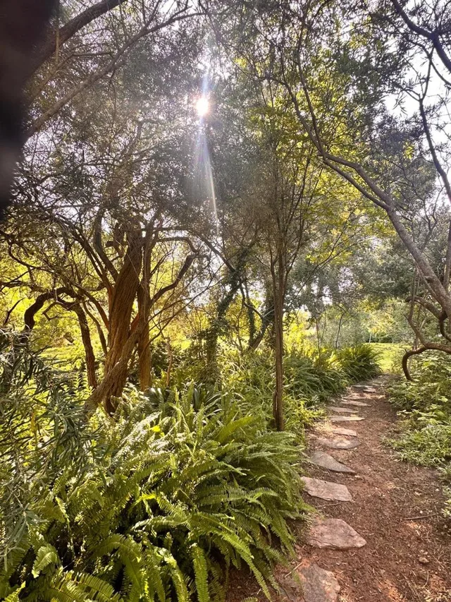 Haldon Estates، بلومفونتين 67/69