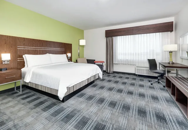 غرفة قياسية بسرير كينج يُسمح فيها بالحيوانات الأليفة، Holiday Inn Express Suites Farmers Branch 3/10