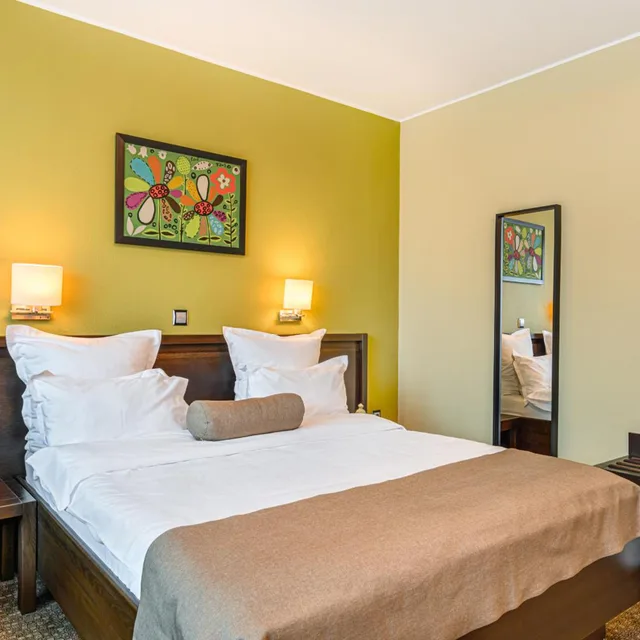غرفة بزنس بسرير مزدوج بإطلالة على النهر، Vega Hotel 5/10