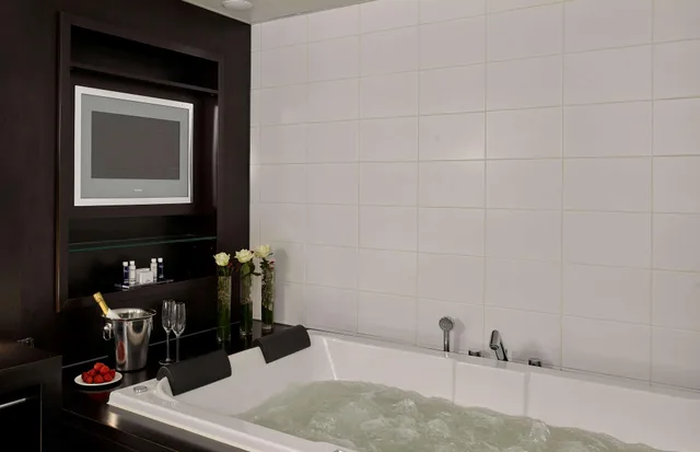 جناح ديلوكس، Park Plaza Eindhoven 2/3