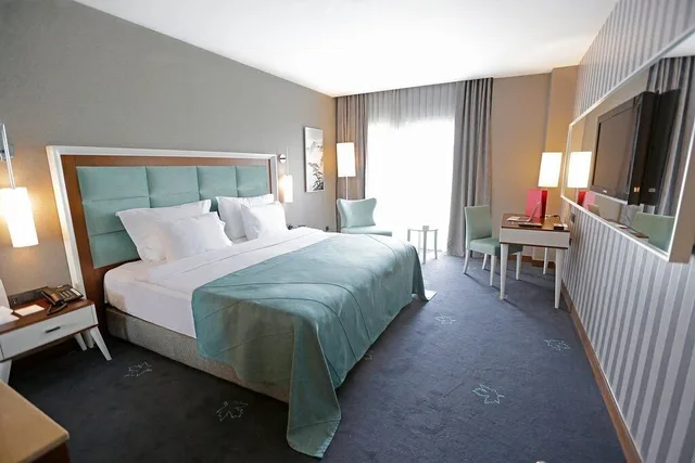Deluxe, Premier Inn Sakarya 3/4