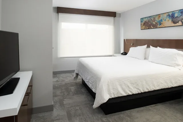 جناح جونيور بسرير كينج لذوي الإعاقة، Hilton Garden Inn Baton Rouge Airport 2/2