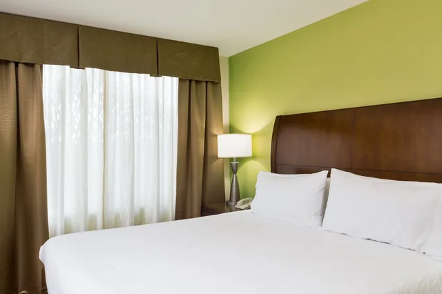 Evolution, King Bed, Hilton Garden Inn Seattle North-Everett 6/9