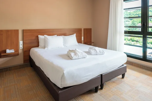 Superior, King Bed, Hotel Lyon Metropole 2/4