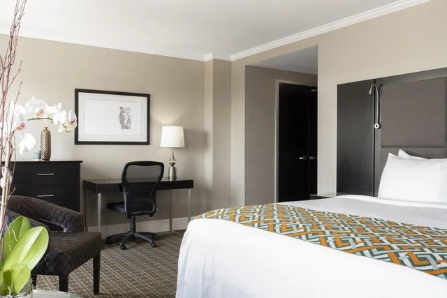 Standard, King Bed, Patio, Private Entrance، Voco The Tiger Hotel an IHG Hotel 5/10