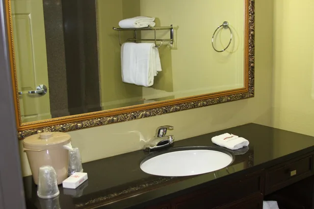 جناح بسرير كينج بجاكوزي، Red Roof Inn and Suites Detroit - Melvindale / Dearborn 2/4