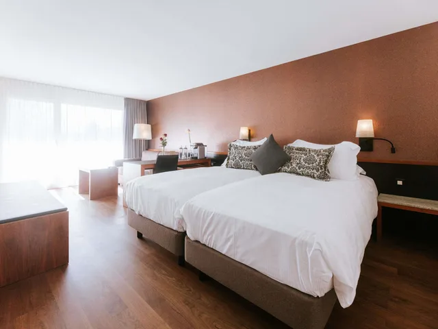 Modern, Air-Conditioned Deluxe Rooms With Balcony، Hotel Royal St Georges Interlaken MGallery 3/10