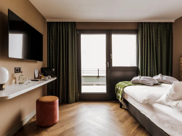 Room, Single, Mountain Side, Hotel Valaisia 1/1