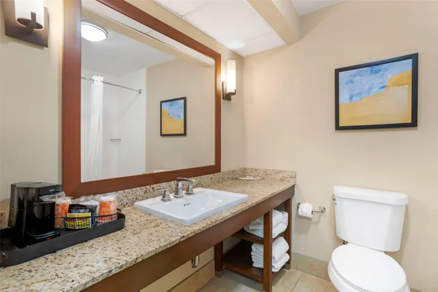 جناح بسرير كينج، Comfort Suites Gastonia Charlotte 5/6