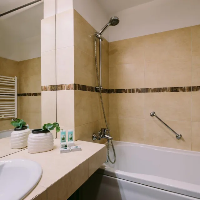 غرفة بزنس بسرير مزدوج أو سريرين منفصلين، Hotel Timisoara 8/10