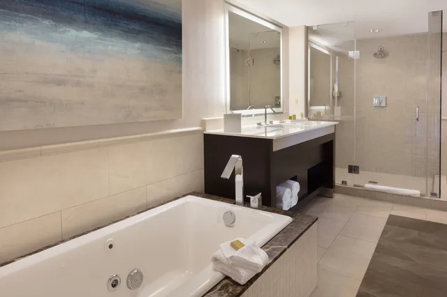 غرفة بسرير كينج بشرفة بغرفة نوم واحدة، Hilton Alexandria Old Town 7/7