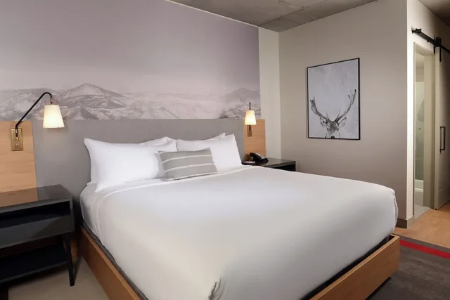 غرفة قياسية بسرير كينج لذوي الإعاقة، Hotel Indigo Denver Downtown - Union Station, an IHG Hotel 2/7